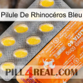 Pilule De Rhinocéros Bleu new05